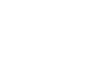 青田縣精鑄閥門(mén)有限公司 （官方網(wǎng)站）主要生產(chǎn)高鎳球墨鑄鐵、汽車(chē)配件D5S、D2螺母
